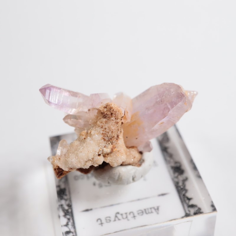 �٥饯�륹�������᥷����