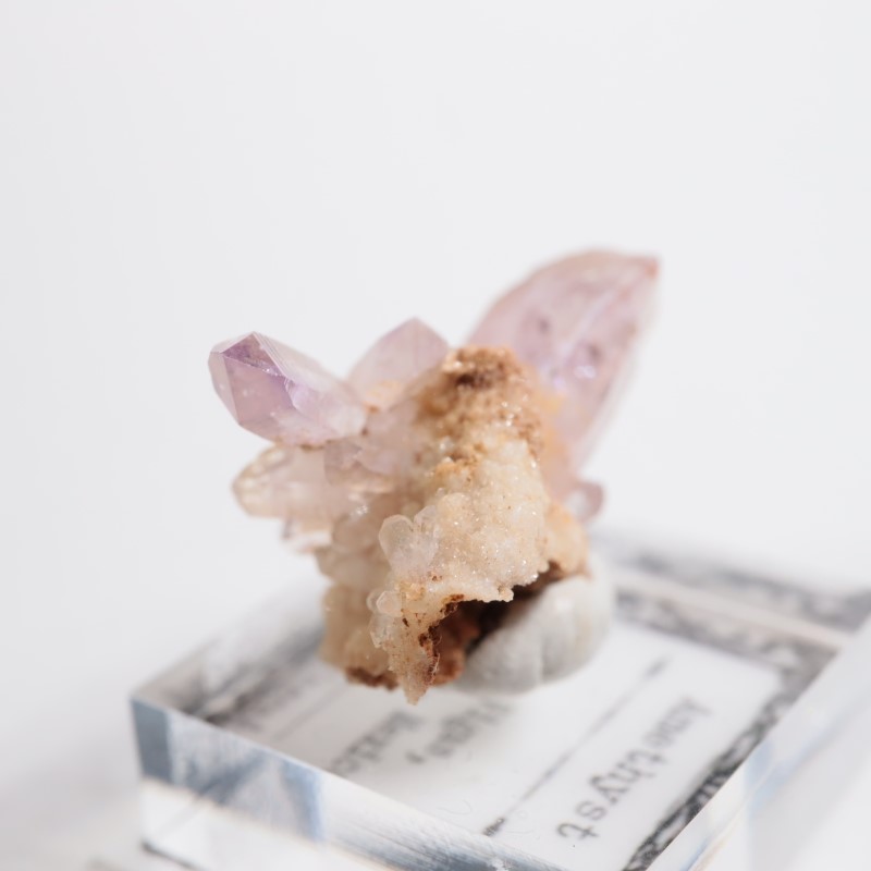 �٥饯�륹�������᥷����