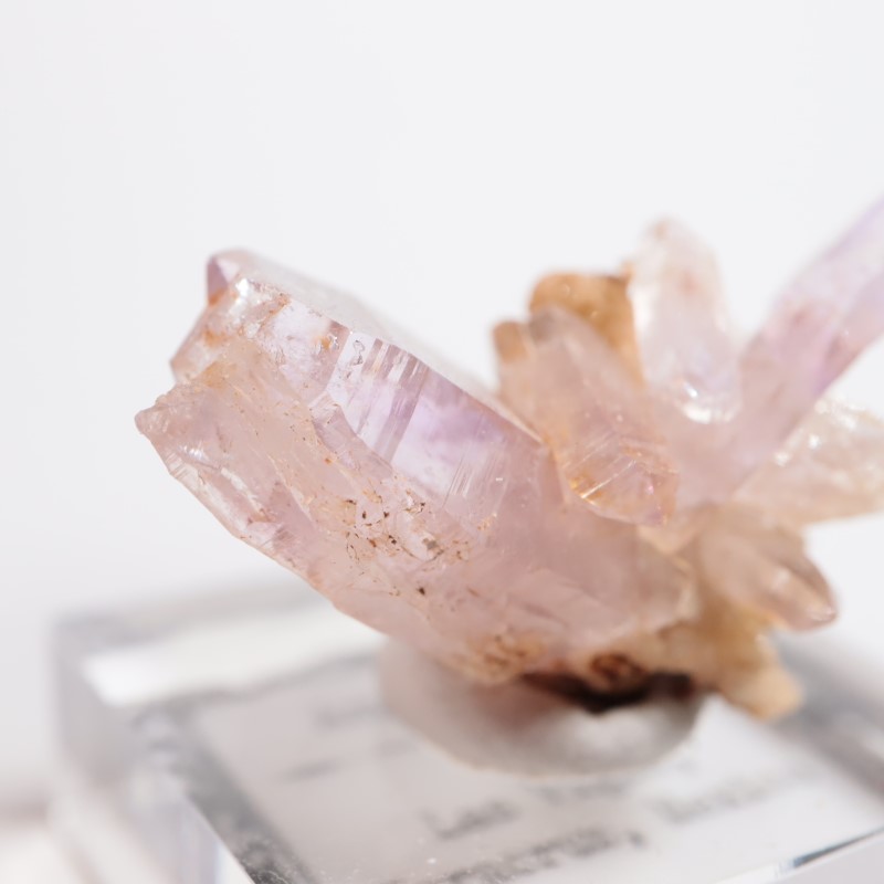 �٥饯�륹�������᥷����