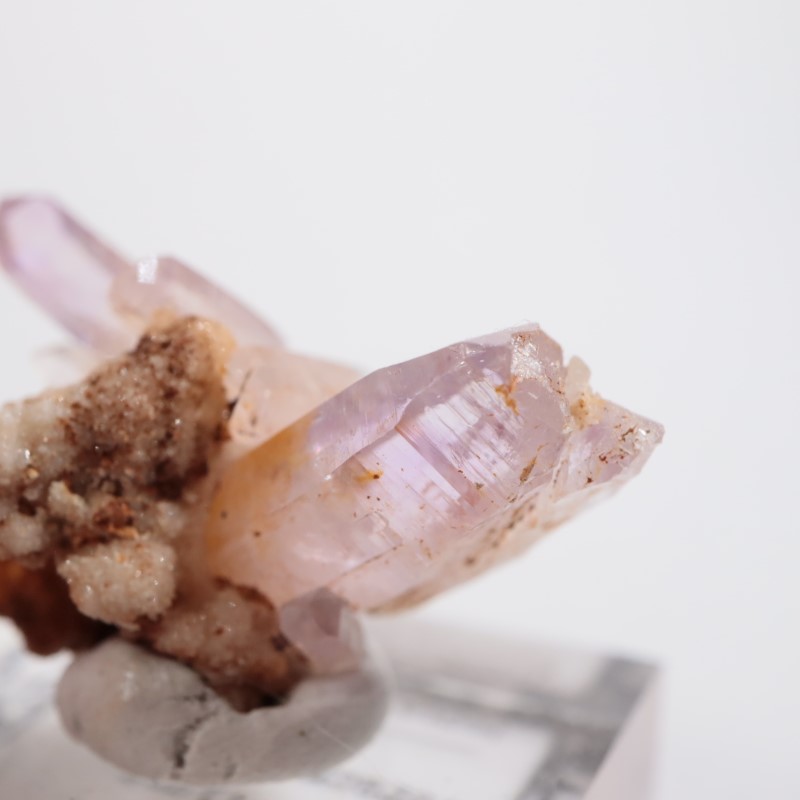 �٥饯�륹�������᥷����