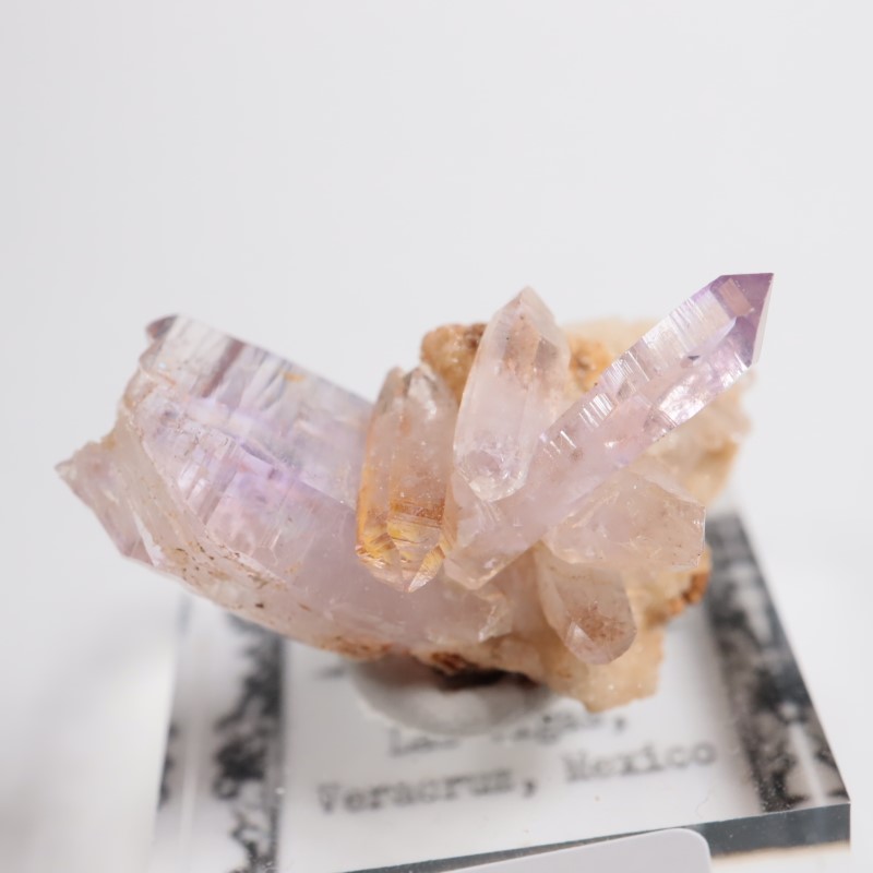 �٥饯�륹�������᥷����