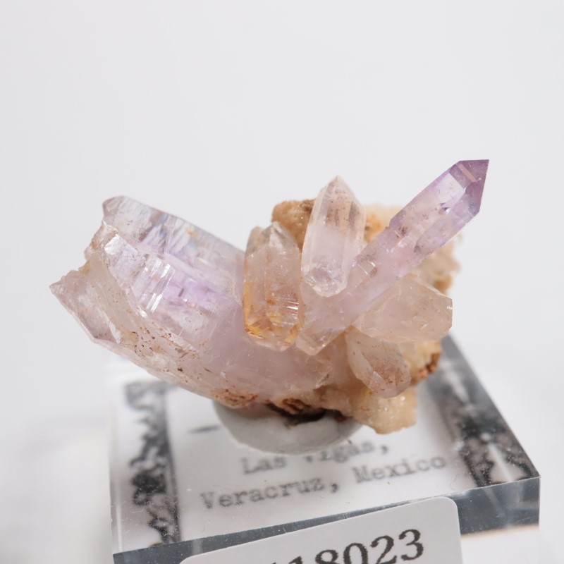 �٥饯�륹�������᥷����