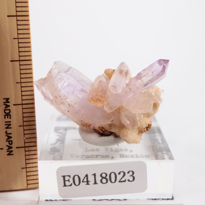 �٥饯�륹�������᥷����