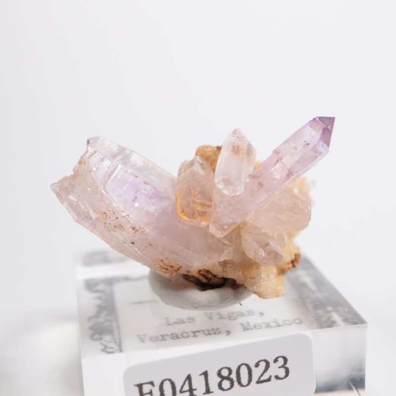 �٥饯�륹�������᥷����