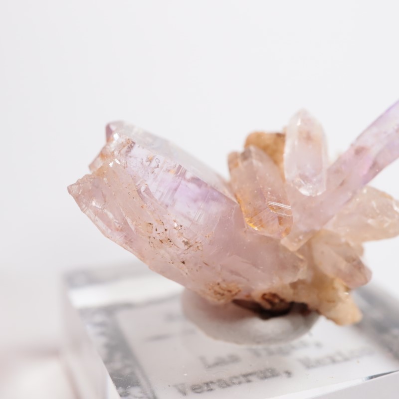 �٥饯�륹�������᥷����