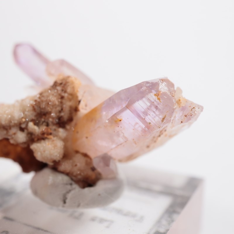 �٥饯�륹�������᥷����