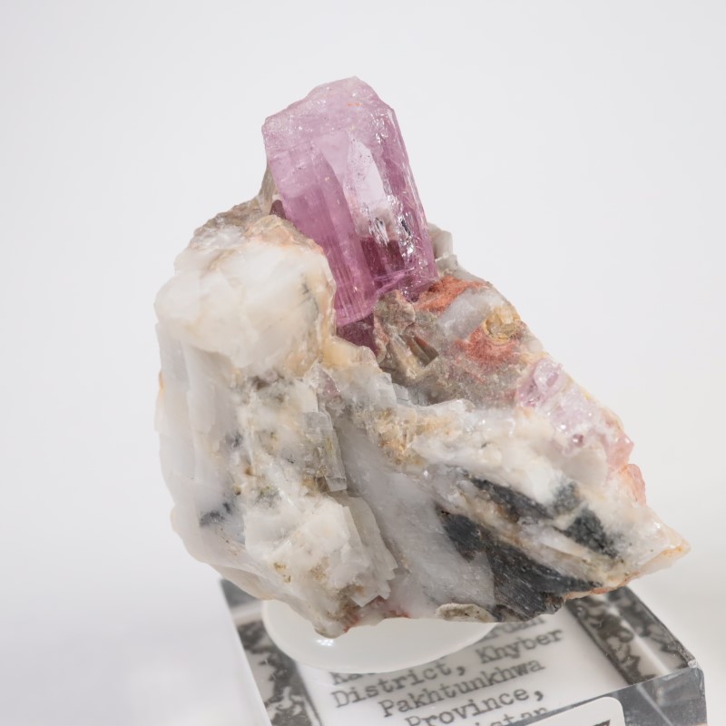 Katlang�����ԥ󥯥ȥѡ���