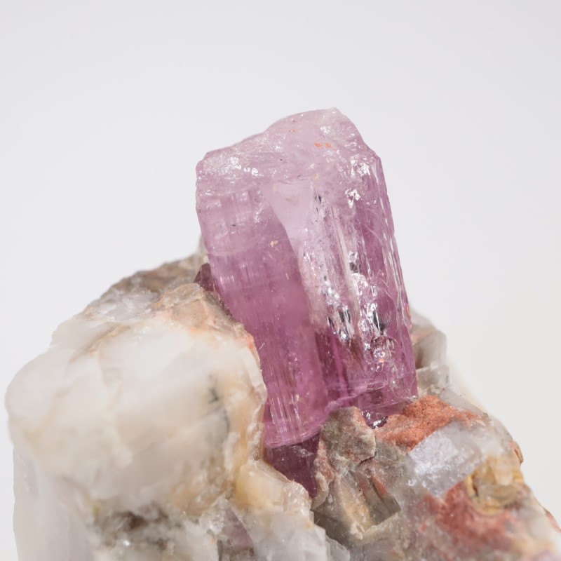 Katlang�����ԥ󥯥ȥѡ���