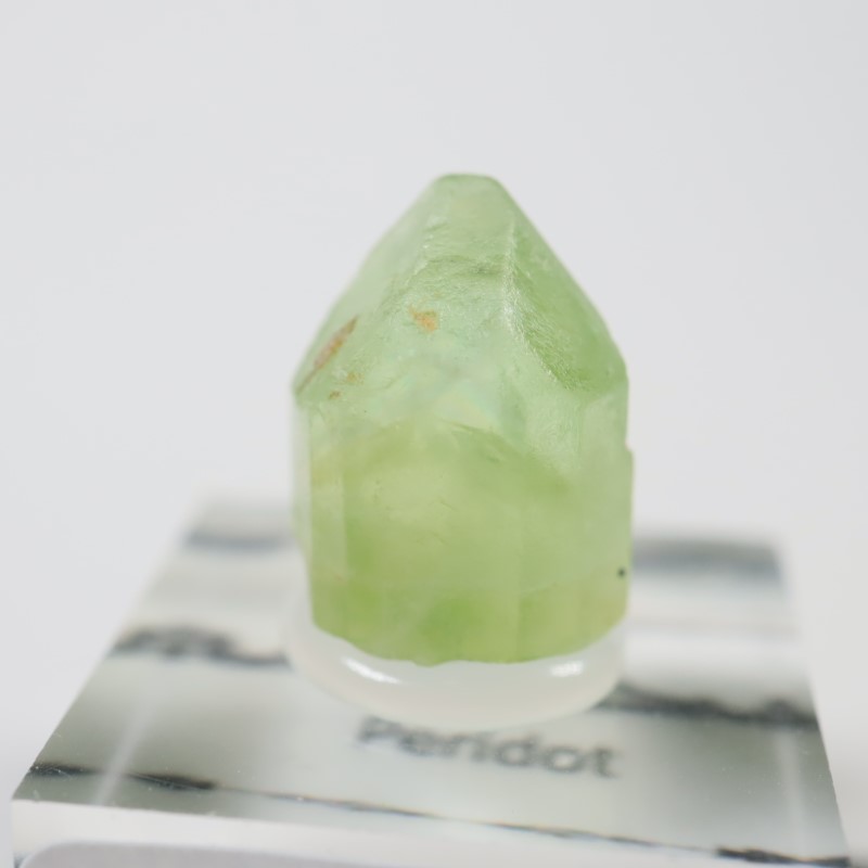 �ѥ������� �ڥ�ɥå�