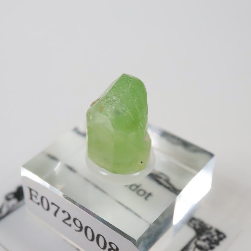 �ѥ������� �ڥ�ɥå�