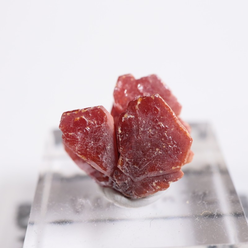 ����å��� �Хʥǥ��ʥ���