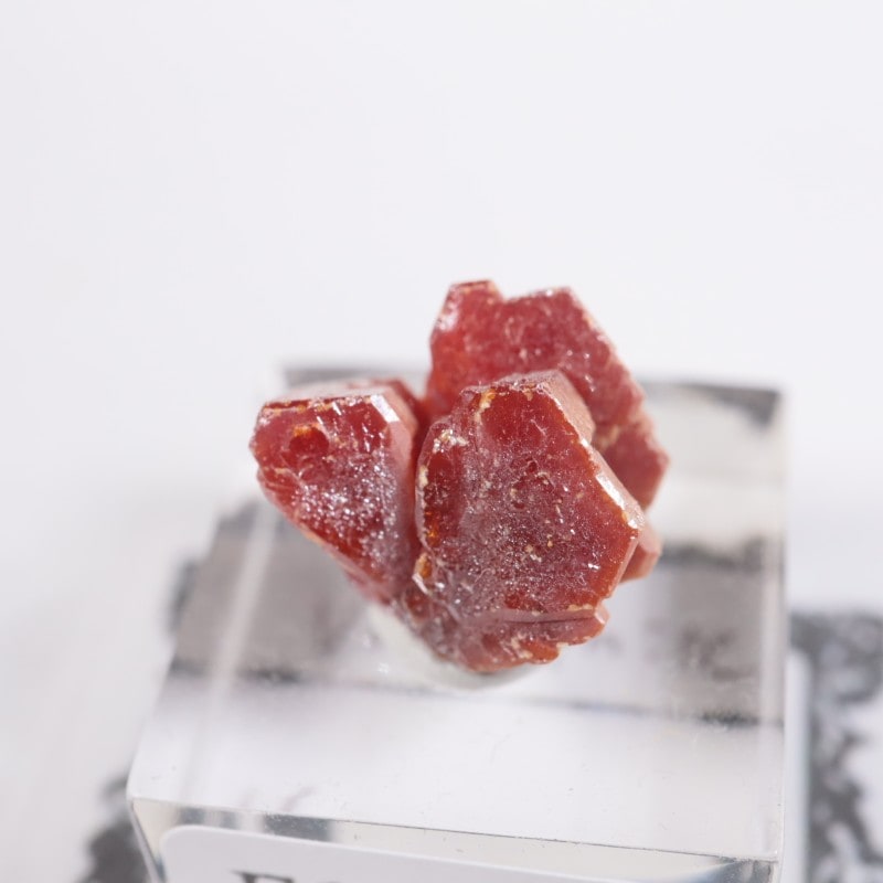 ����å��� �Хʥǥ��ʥ���