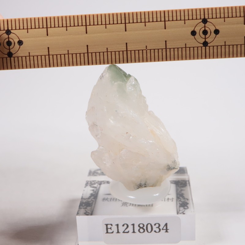 荒川鉱山産 緑水晶 | 鉱物標本,カ行,クォーツ/水晶 | ほたるみねらる