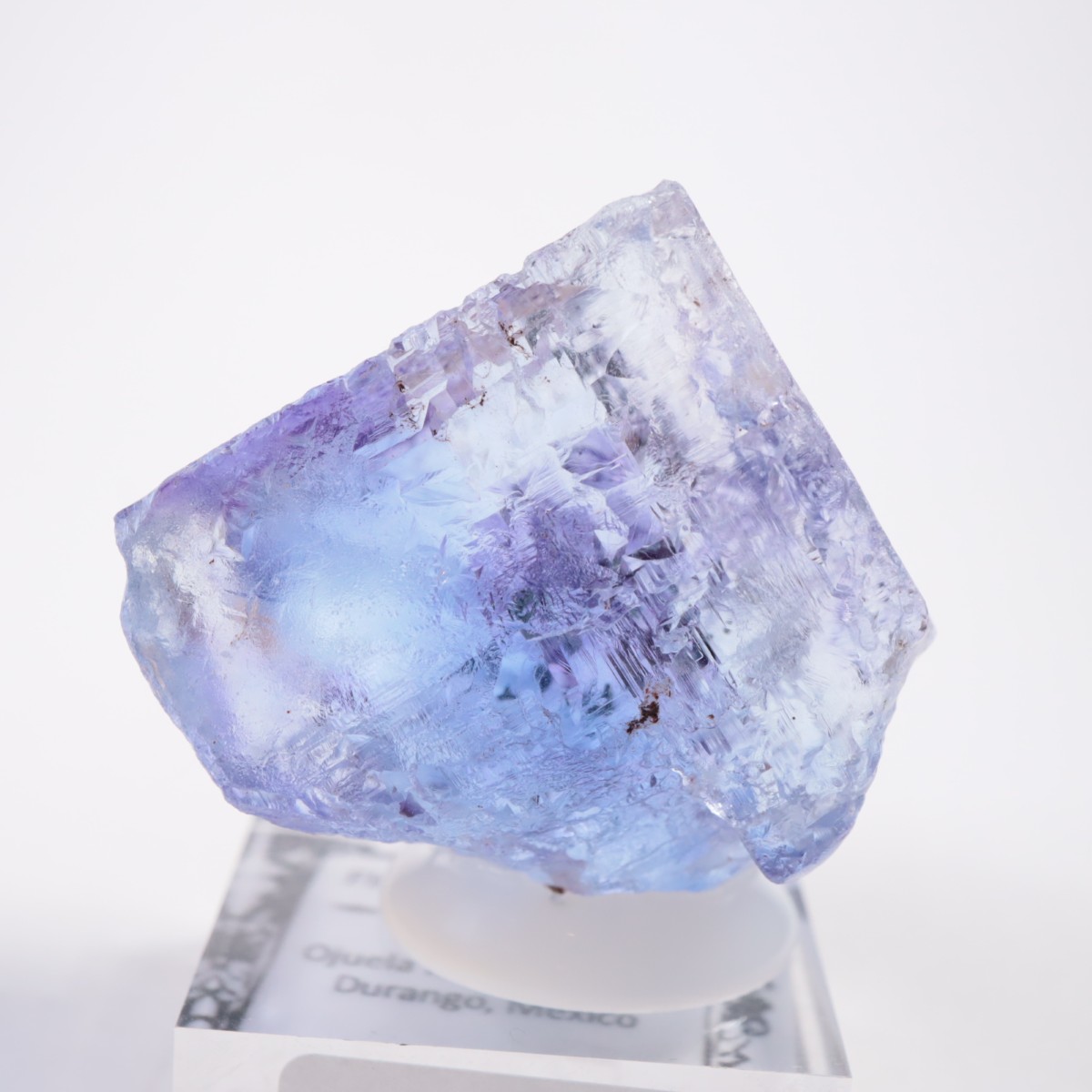 Ojuela�ۻ� ������ե����饤��