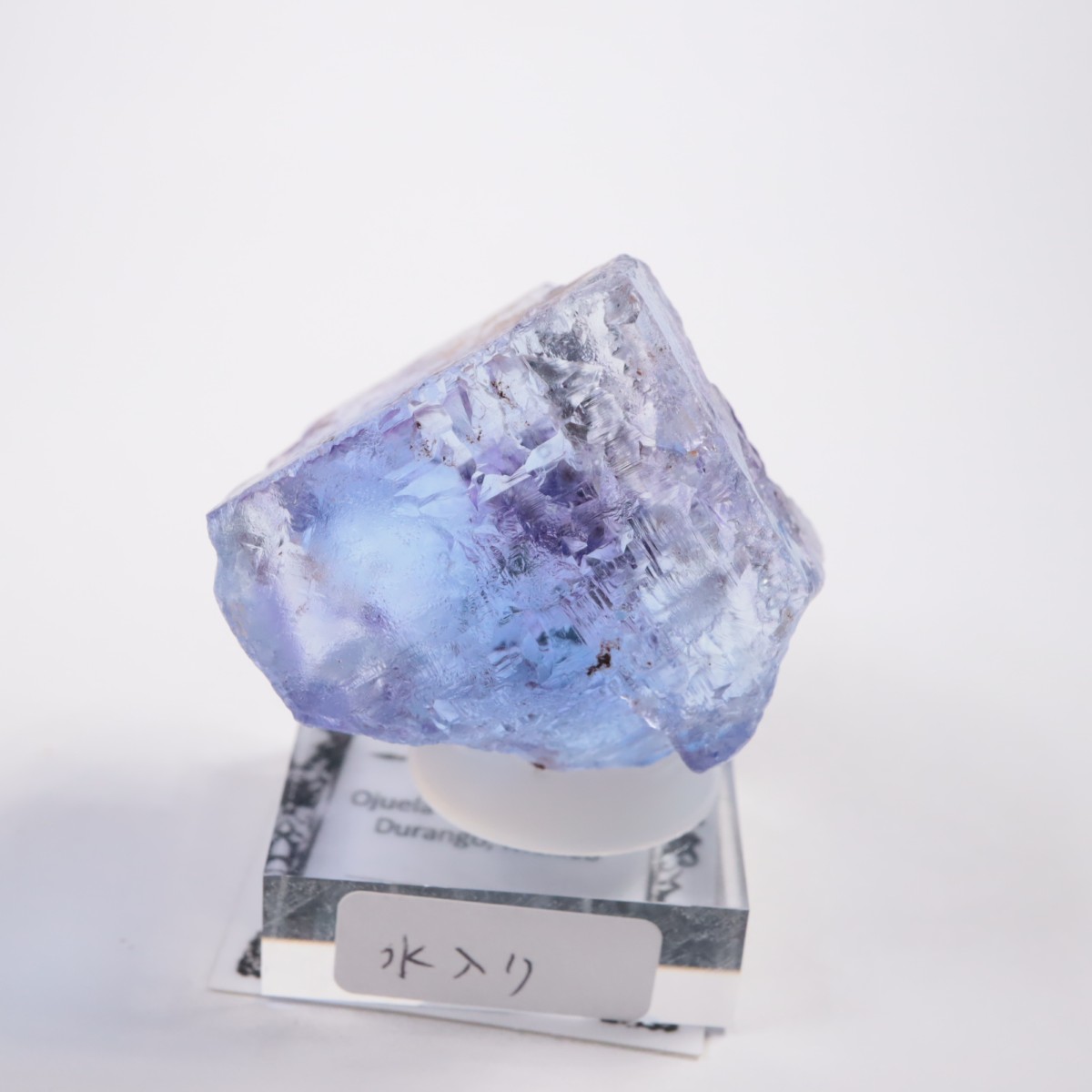 Ojuela�ۻ� ������ե����饤��