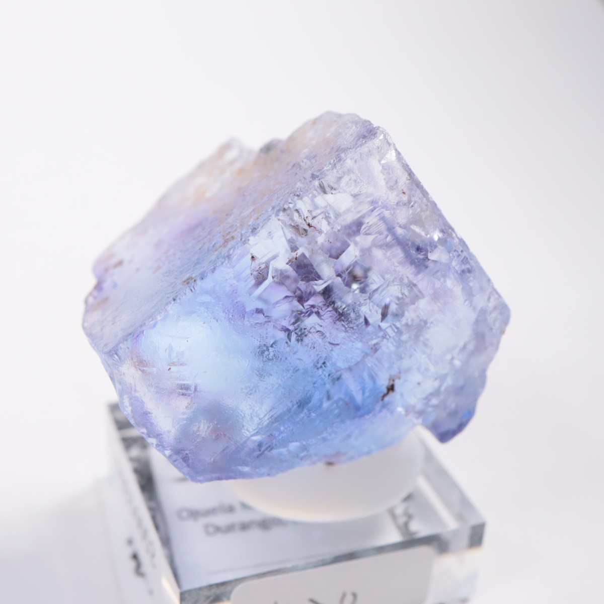 Ojuela�ۻ� ������ե����饤��