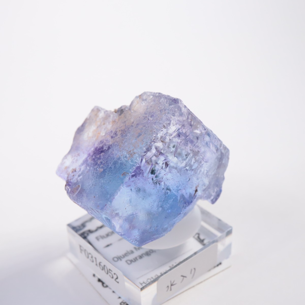 Ojuela�ۻ� ������ե����饤��