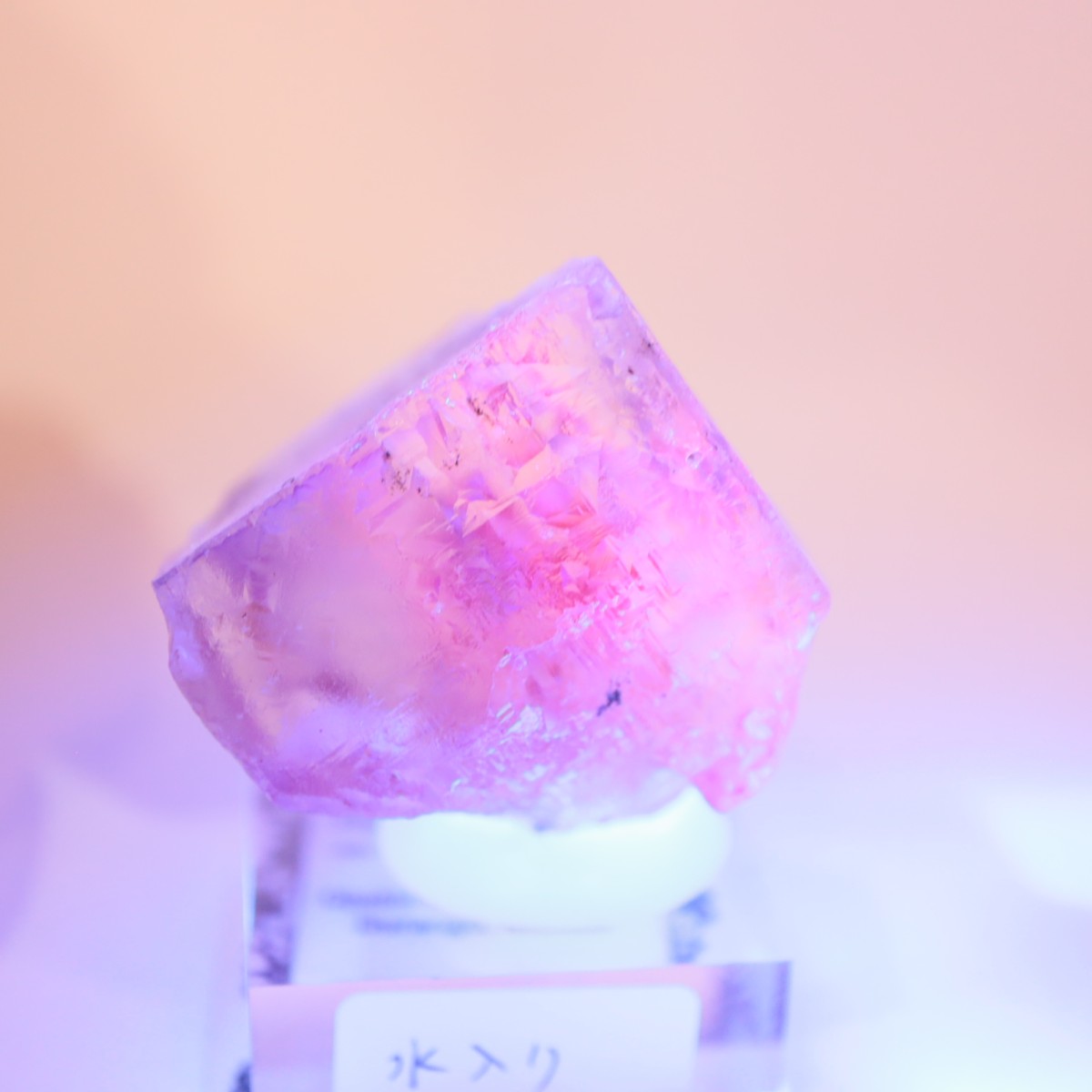 Ojuela�ۻ� ������ե����饤��