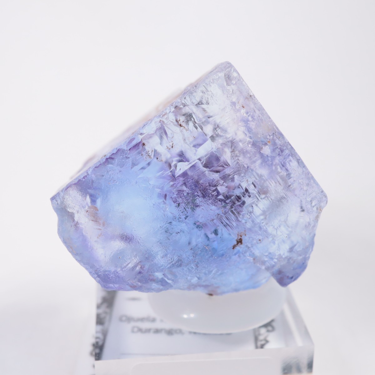 Ojuela�ۻ� ������ե����饤��