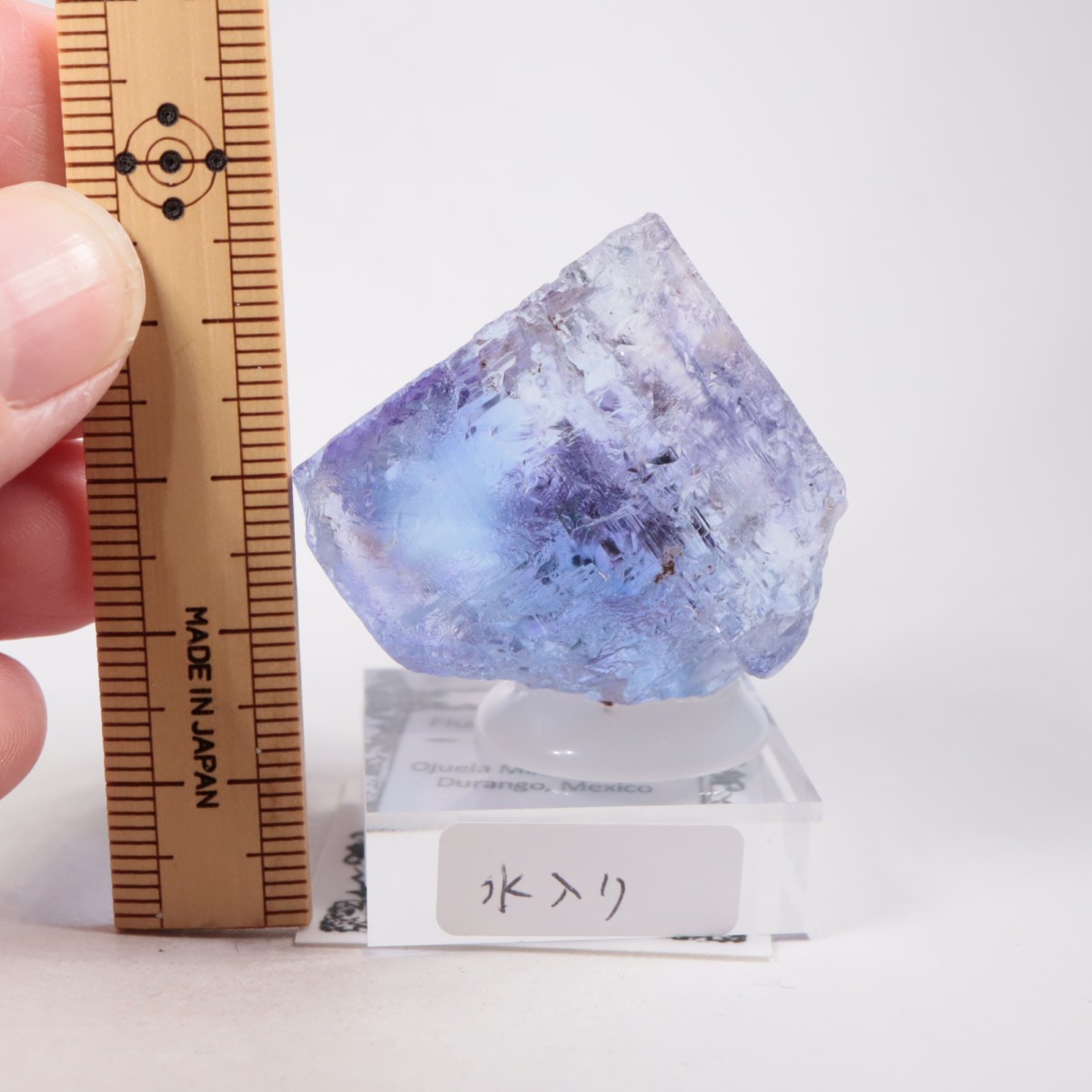 Ojuela�ۻ� ������ե����饤��