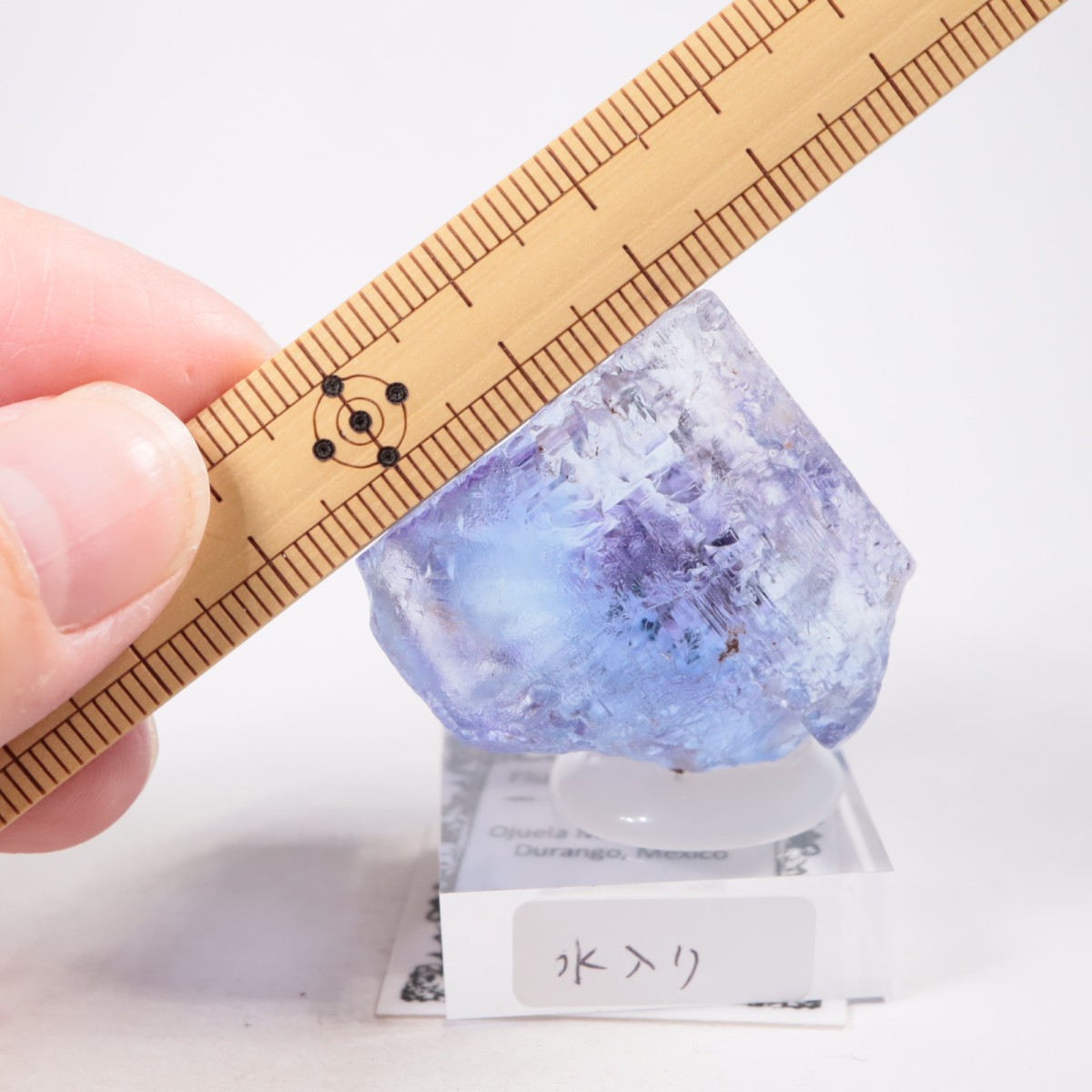 Ojuela�ۻ� ������ե����饤��