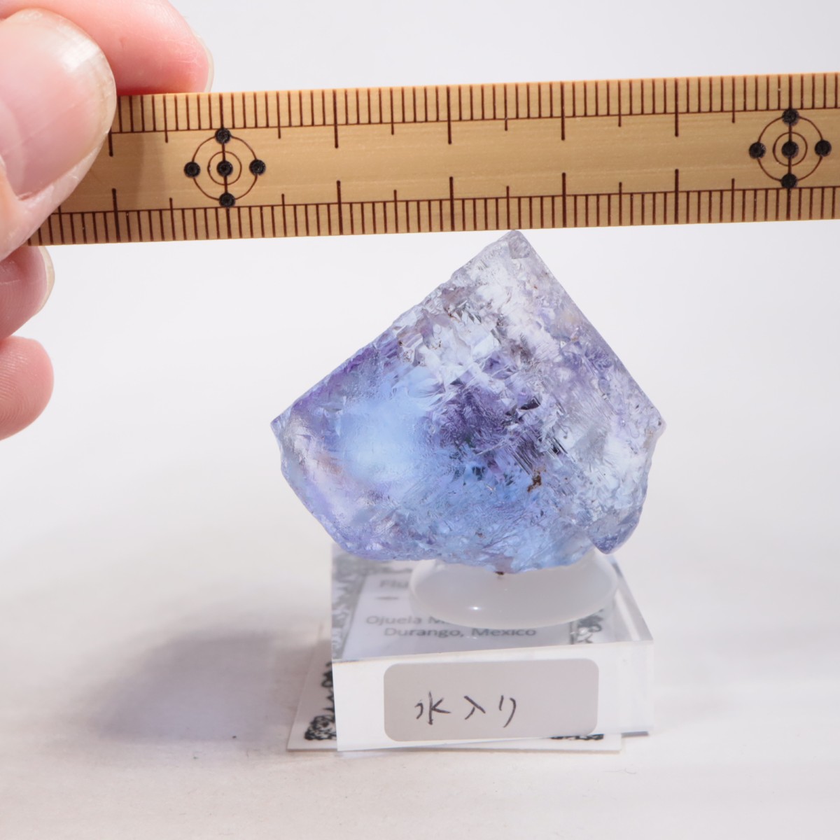 Ojuela�ۻ� ������ե����饤��