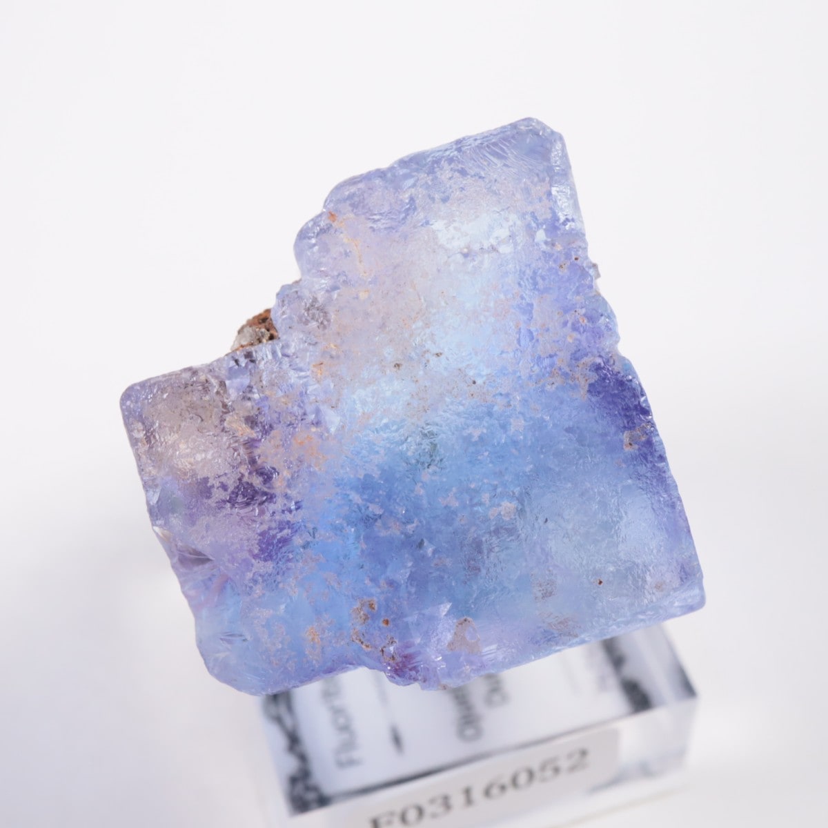 Ojuela�ۻ� ������ե����饤��