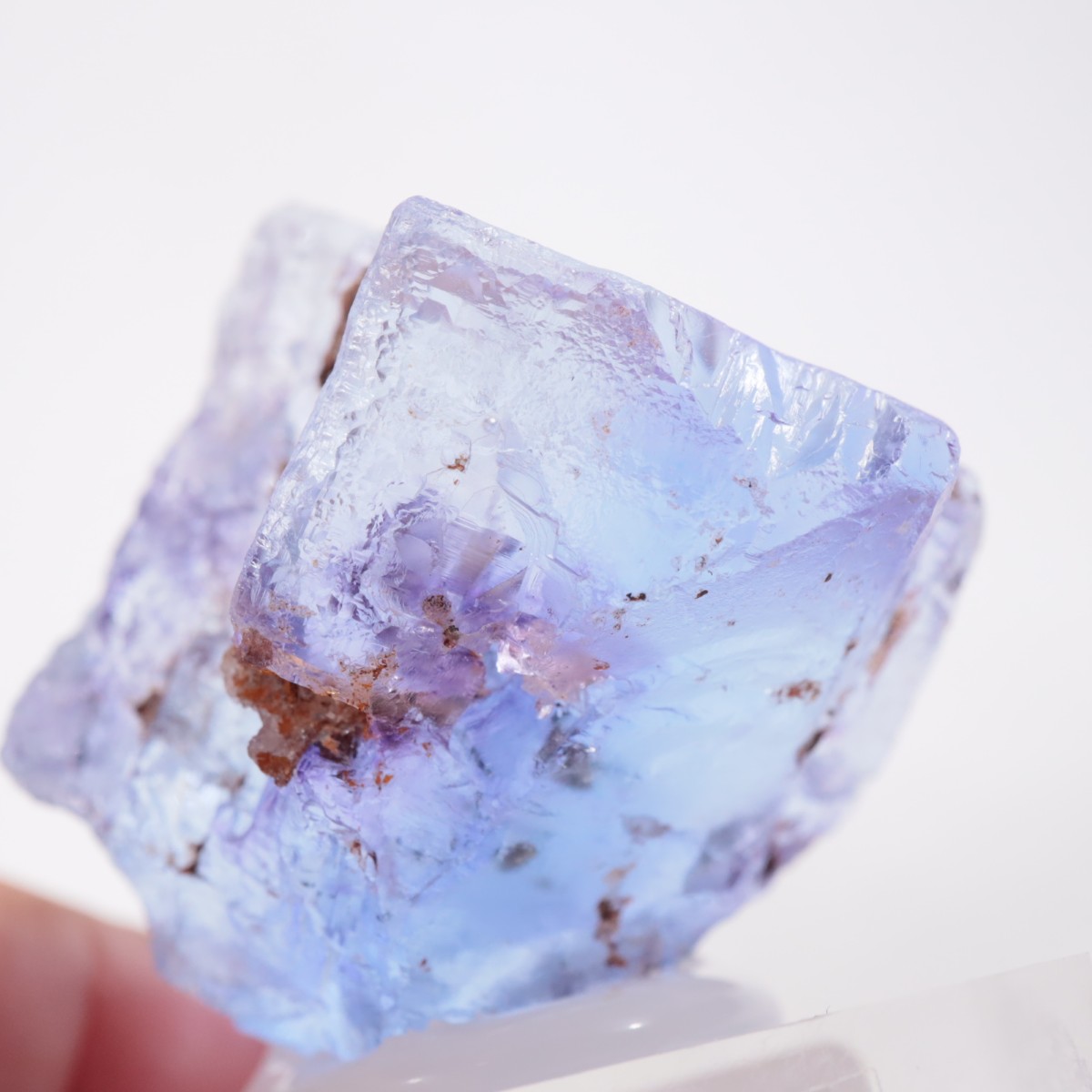 Ojuela�ۻ� ������ե����饤��