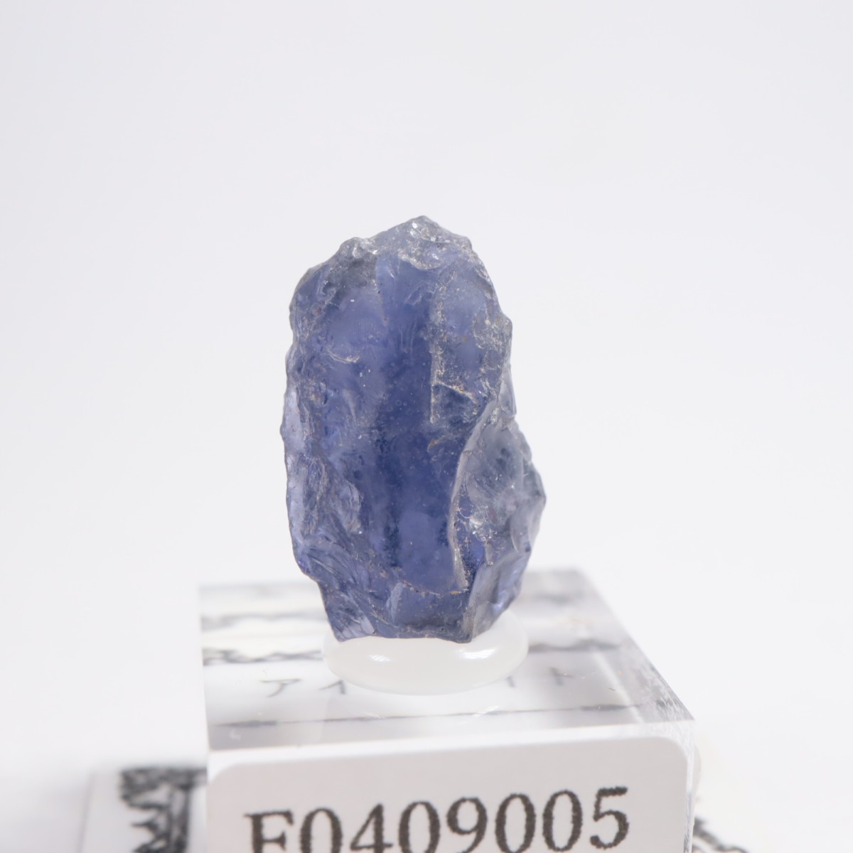 ���˥��� �������饤��