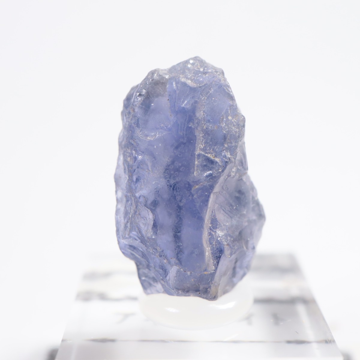 ���˥��� �������饤��