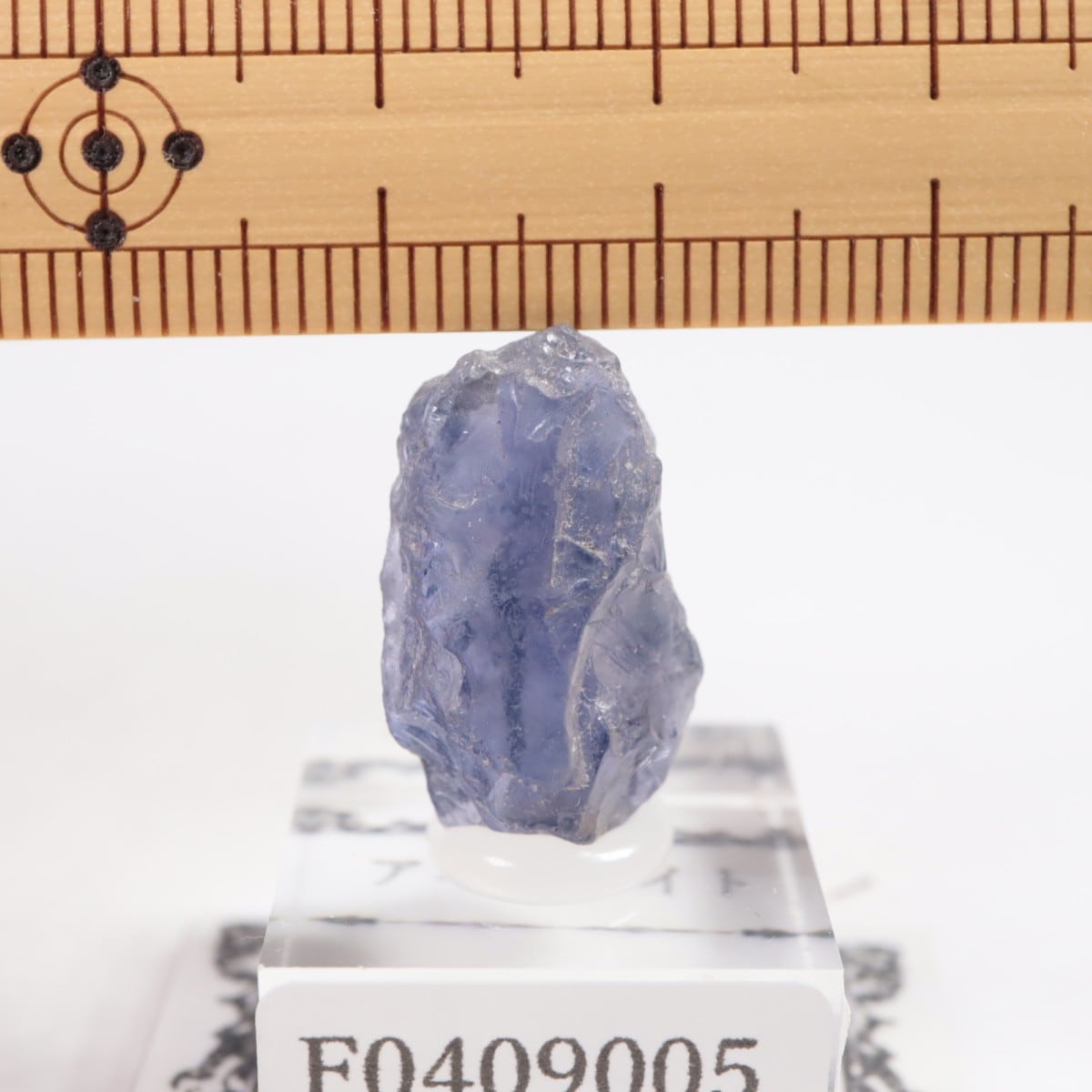 ���˥��� �������饤��