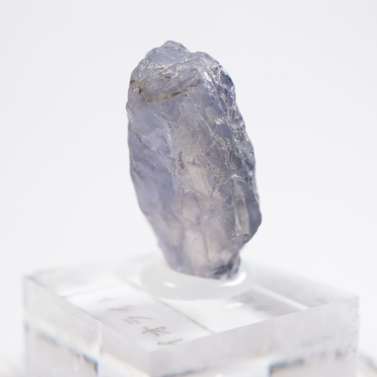 ���˥��� �������饤��