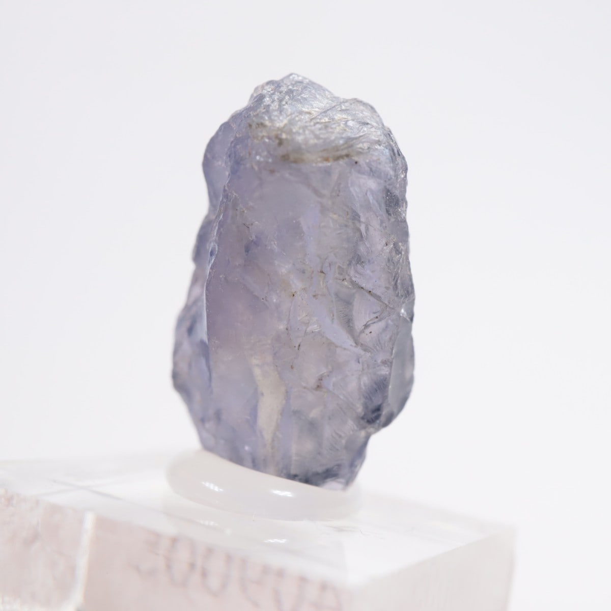 ���˥��� �������饤��