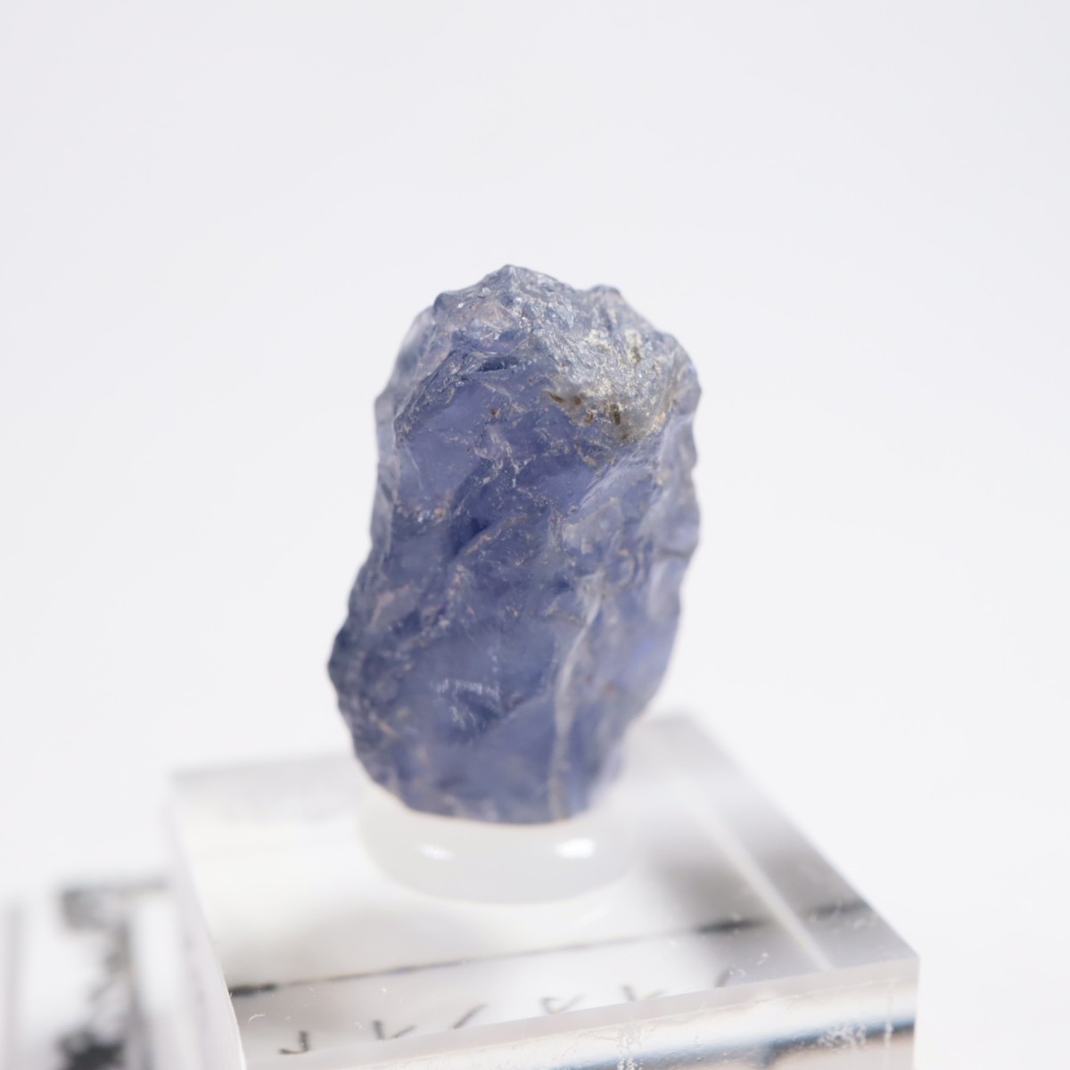 ���˥��� �������饤��