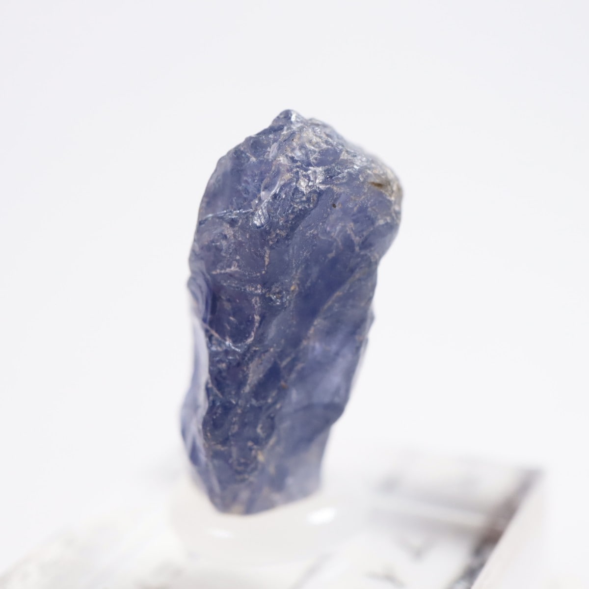 ���˥��� �������饤��