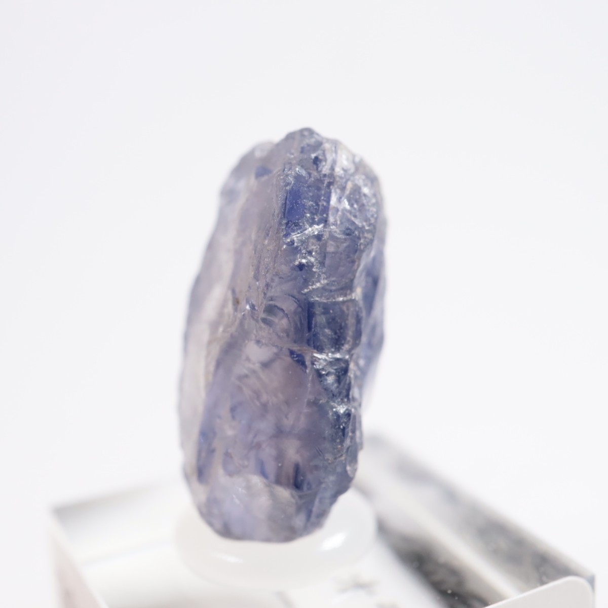 ���˥��� �������饤��