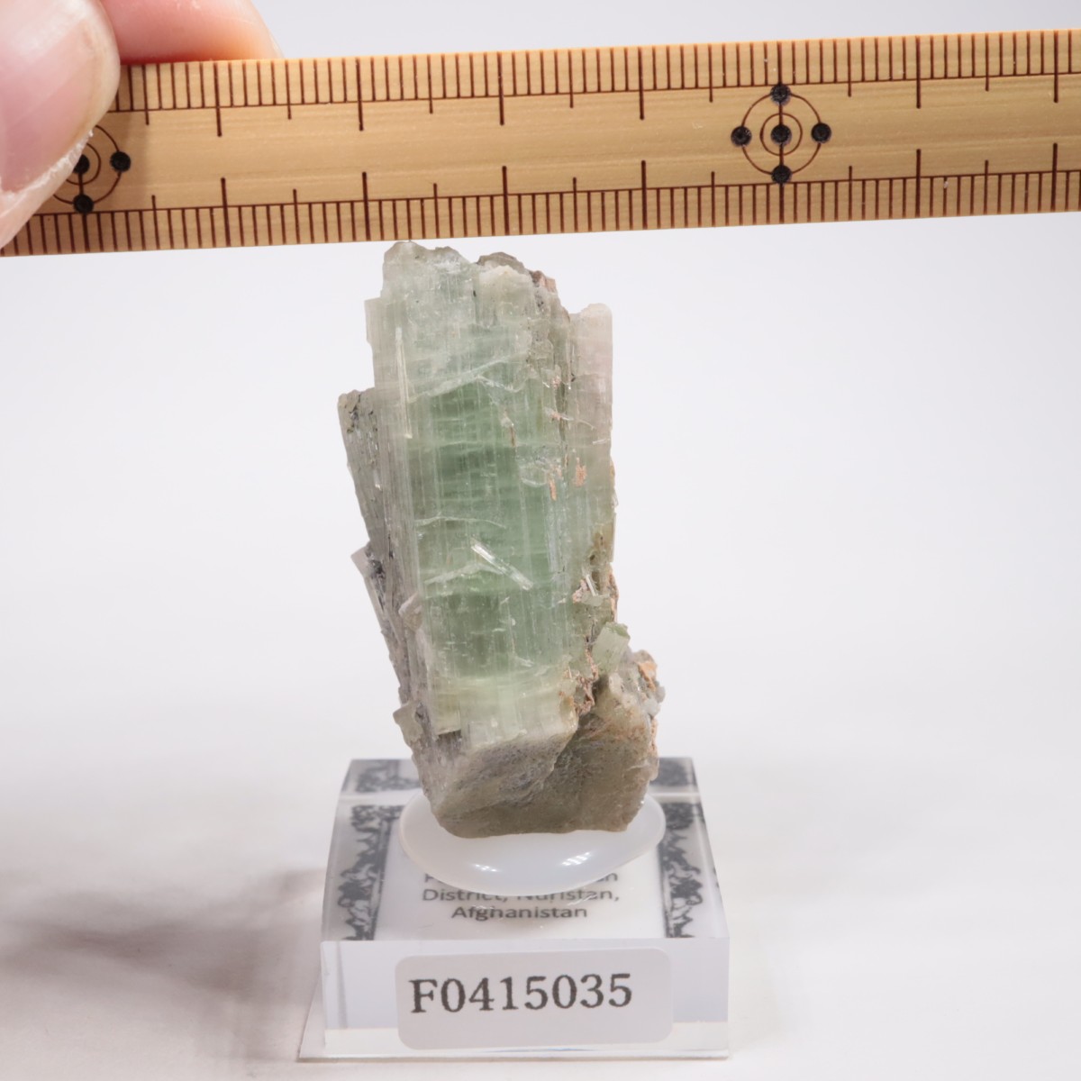 ���ե��˥����� �ȥ�ޥ��