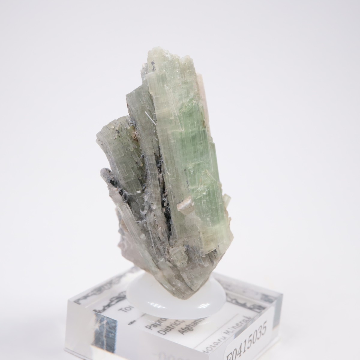 ���ե��˥����� �ȥ�ޥ��