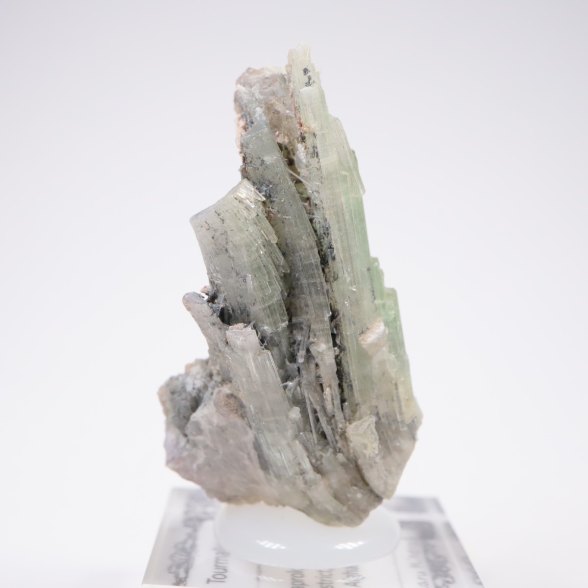 ���ե��˥����� �ȥ�ޥ��