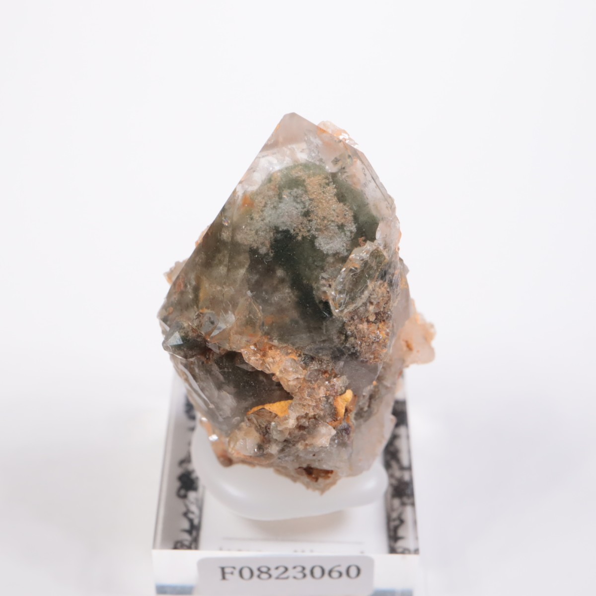 �ǥ����ޥ�ƥ����ʻ� �����ǥ󥯥�����