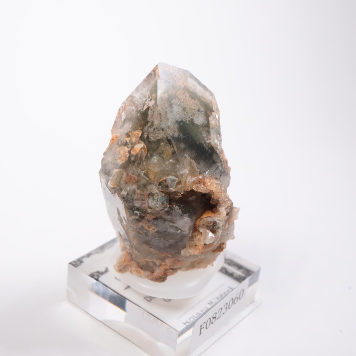 �ǥ����ޥ�ƥ����ʻ� �����ǥ󥯥�����