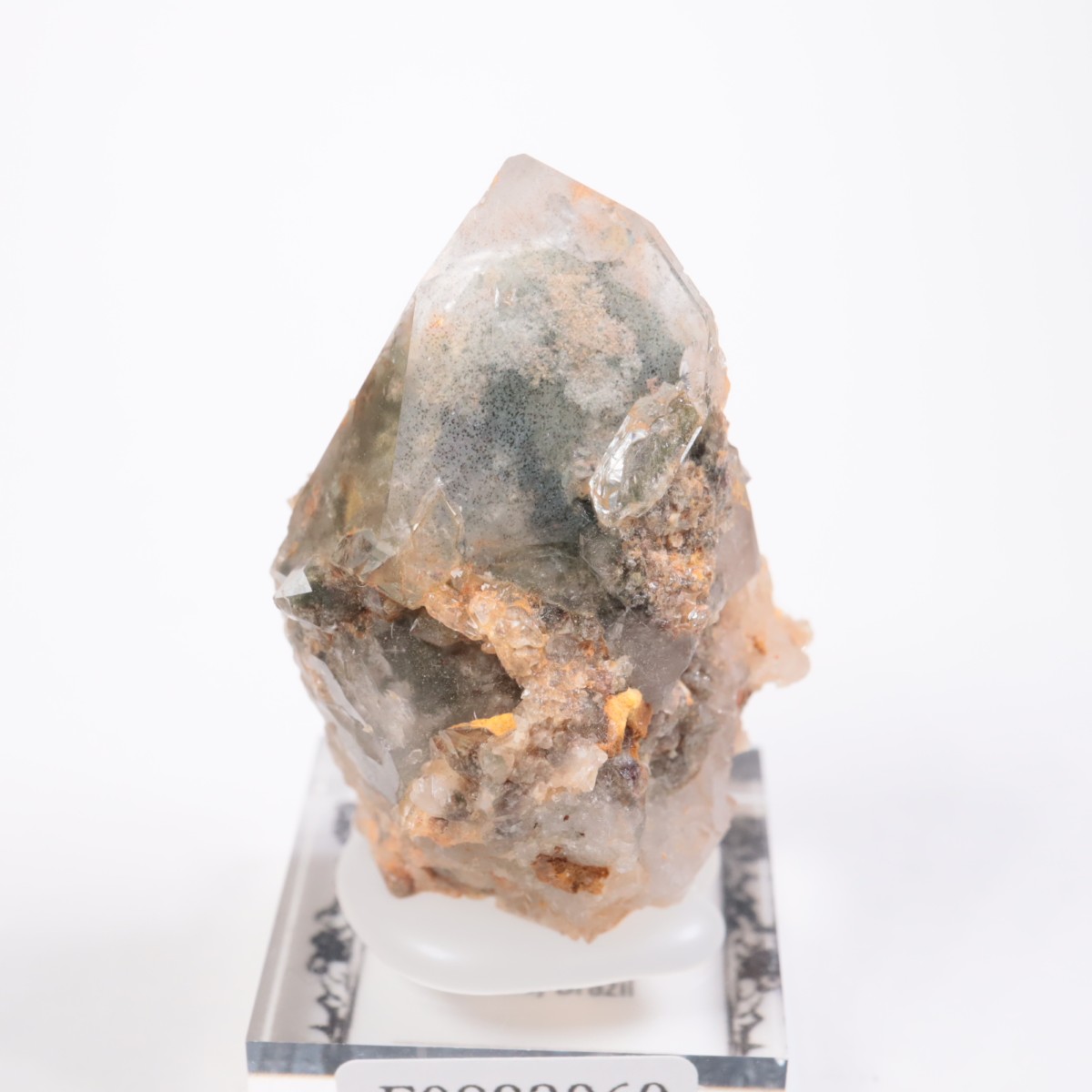 �ǥ����ޥ�ƥ����ʻ� �����ǥ󥯥�����