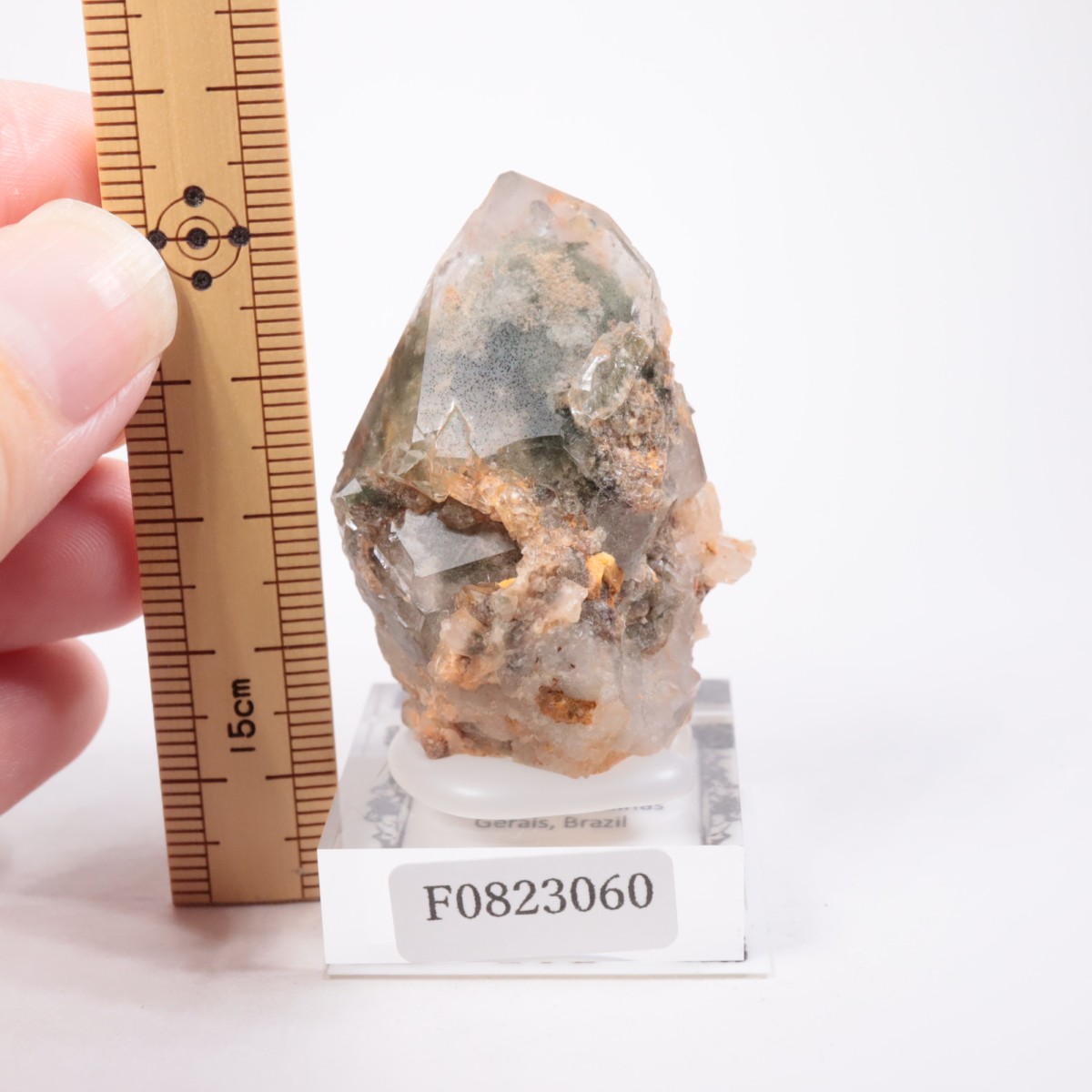 �ǥ����ޥ�ƥ����ʻ� �����ǥ󥯥�����