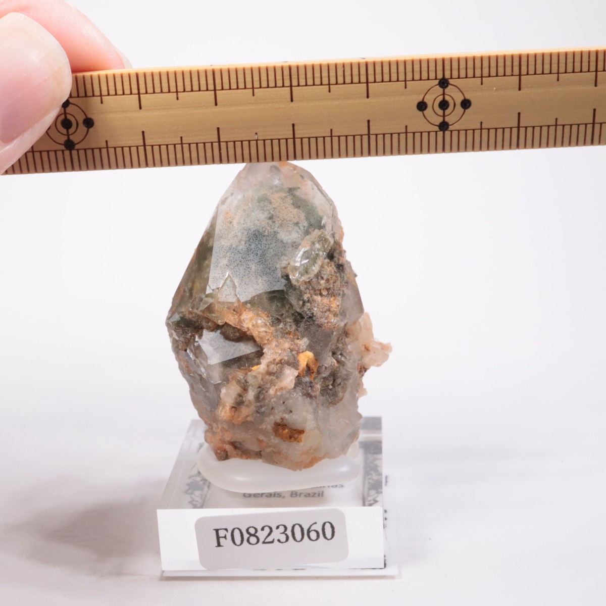 �ǥ����ޥ�ƥ����ʻ� �����ǥ󥯥�����