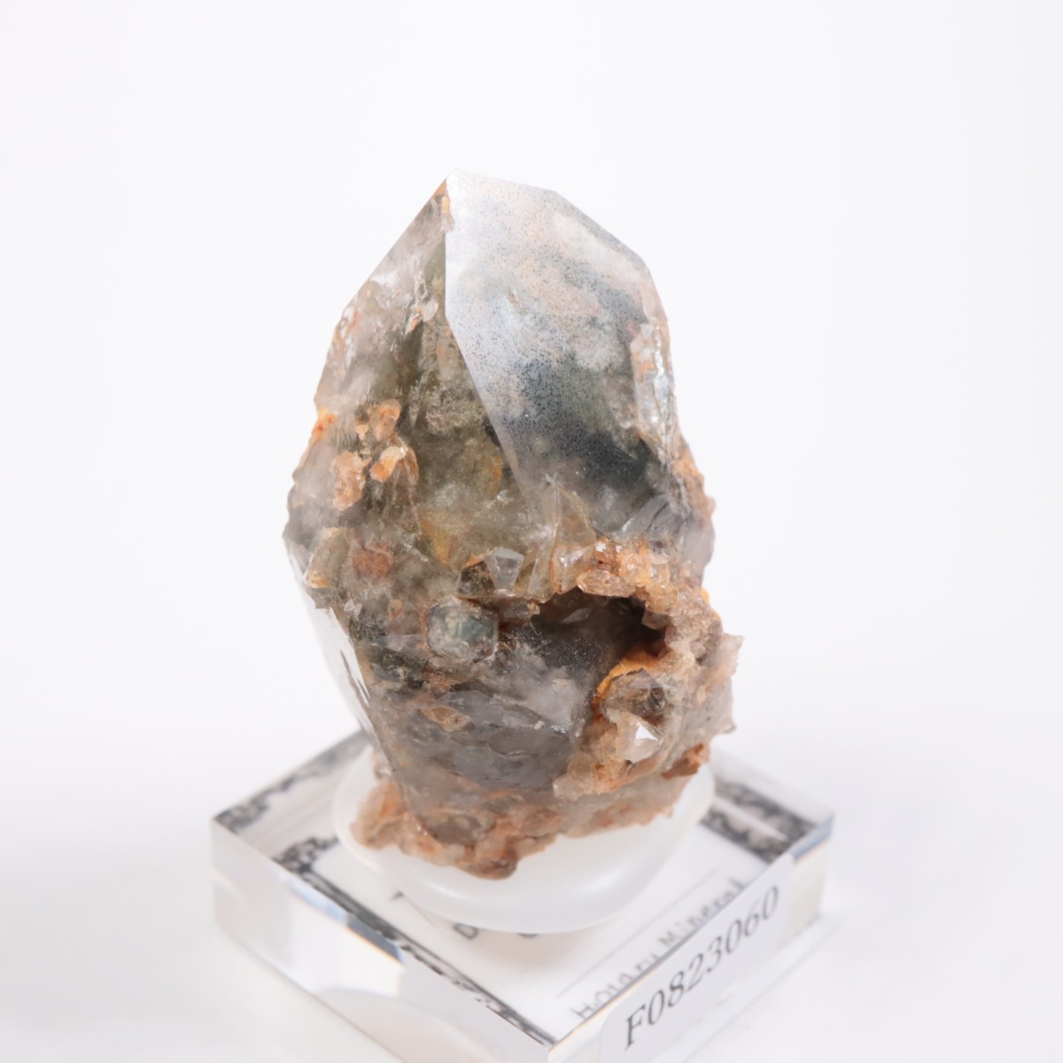 �ǥ����ޥ�ƥ����ʻ� �����ǥ󥯥�����