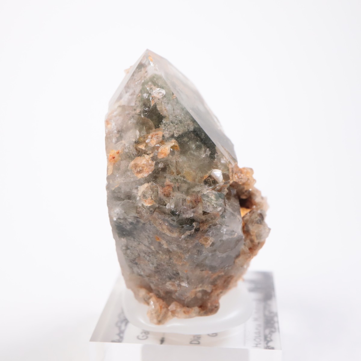 �ǥ����ޥ�ƥ����ʻ� �����ǥ󥯥�����