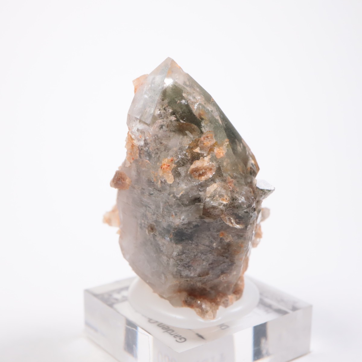 �ǥ����ޥ�ƥ����ʻ� �����ǥ󥯥�����