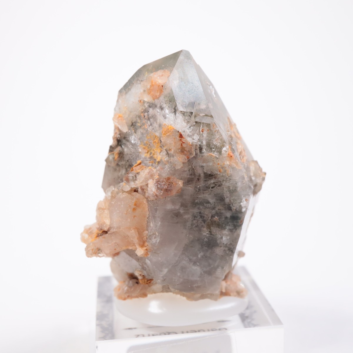 �ǥ����ޥ�ƥ����ʻ� �����ǥ󥯥�����