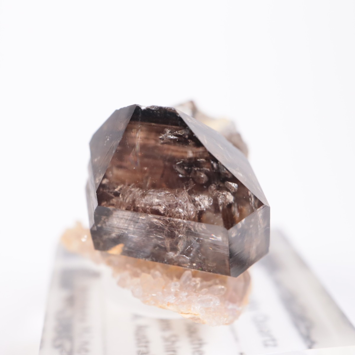 �������ȥ�ꥢ�� ����徽