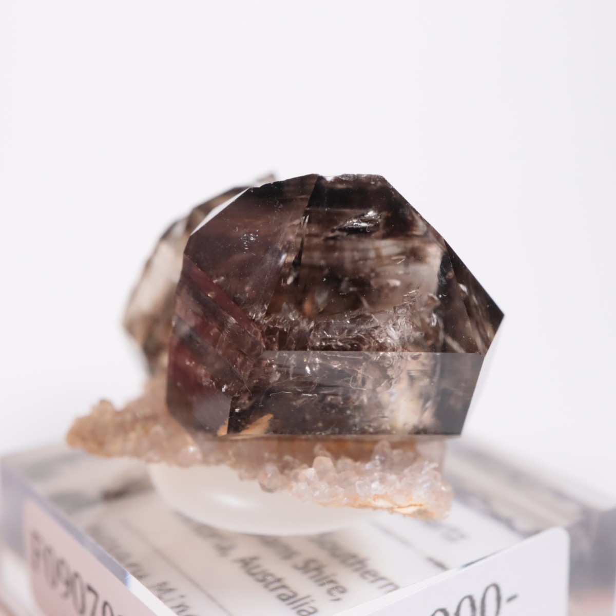 �������ȥ�ꥢ�� ����徽